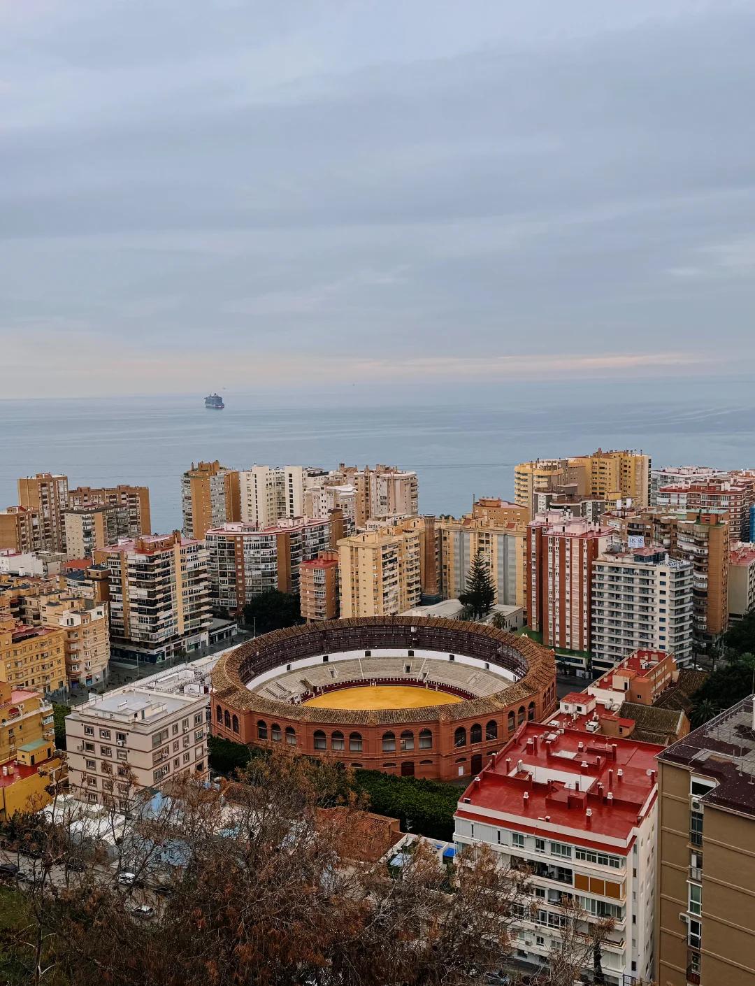 开云体育在线-瓦伦西亚主场力克马拉加，取得胜利的简单介绍