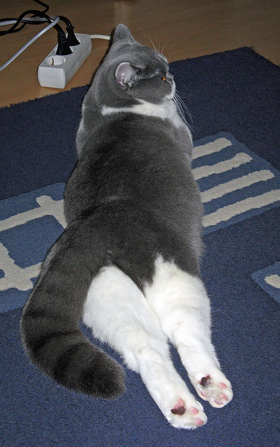 开云sport-44+18！字母哥太空城市上演狂暴之战，深圳加时鏖战力擒开拓者