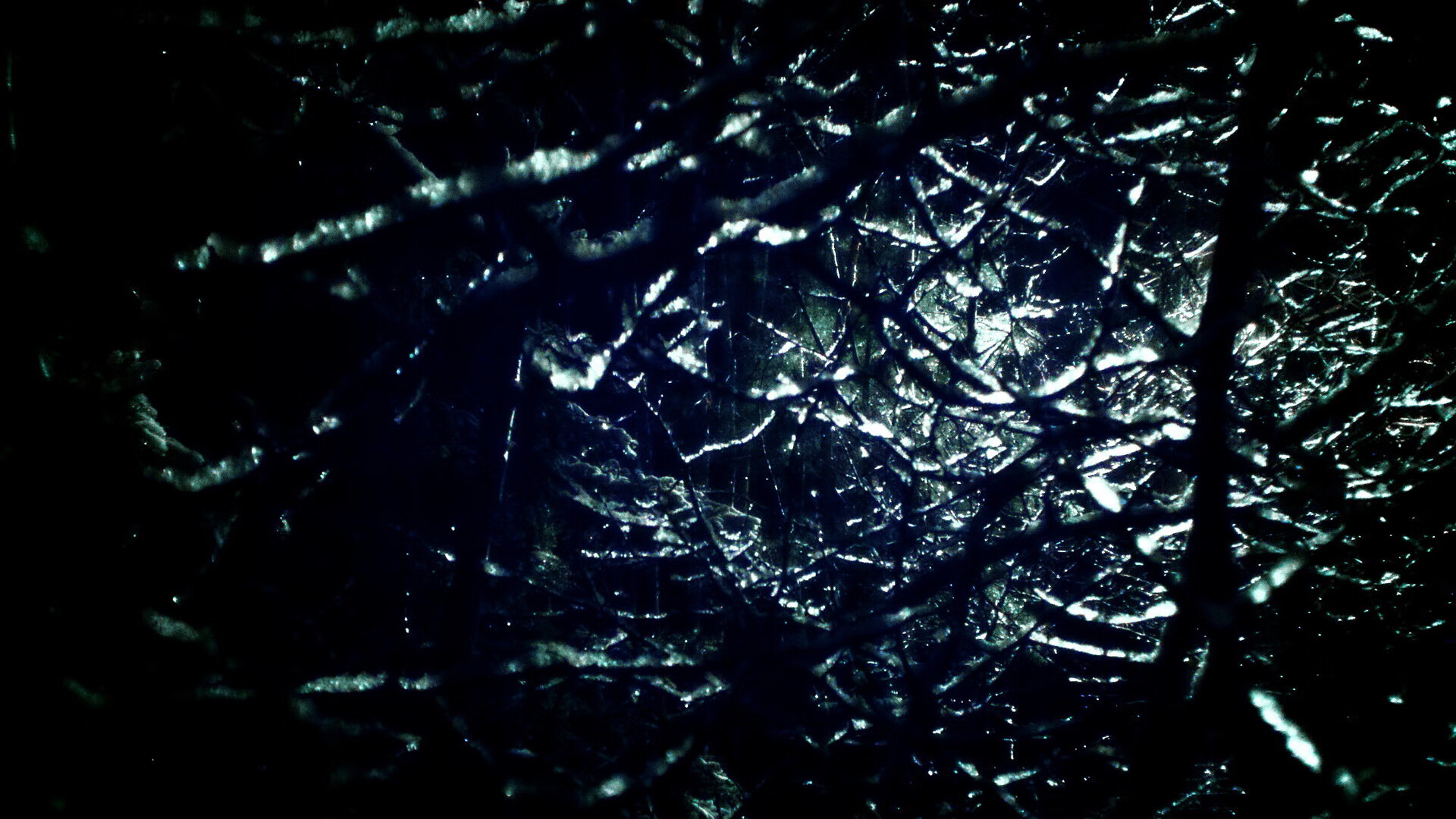 东决之夜，金玟哉，从拼图到基石，冠军心态铸就防线灵魂