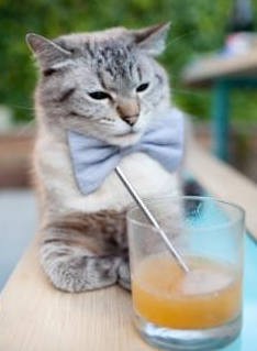 开云体育入口-格纳布里关键先生闪耀，牙买加强势晋级淘汰曼联