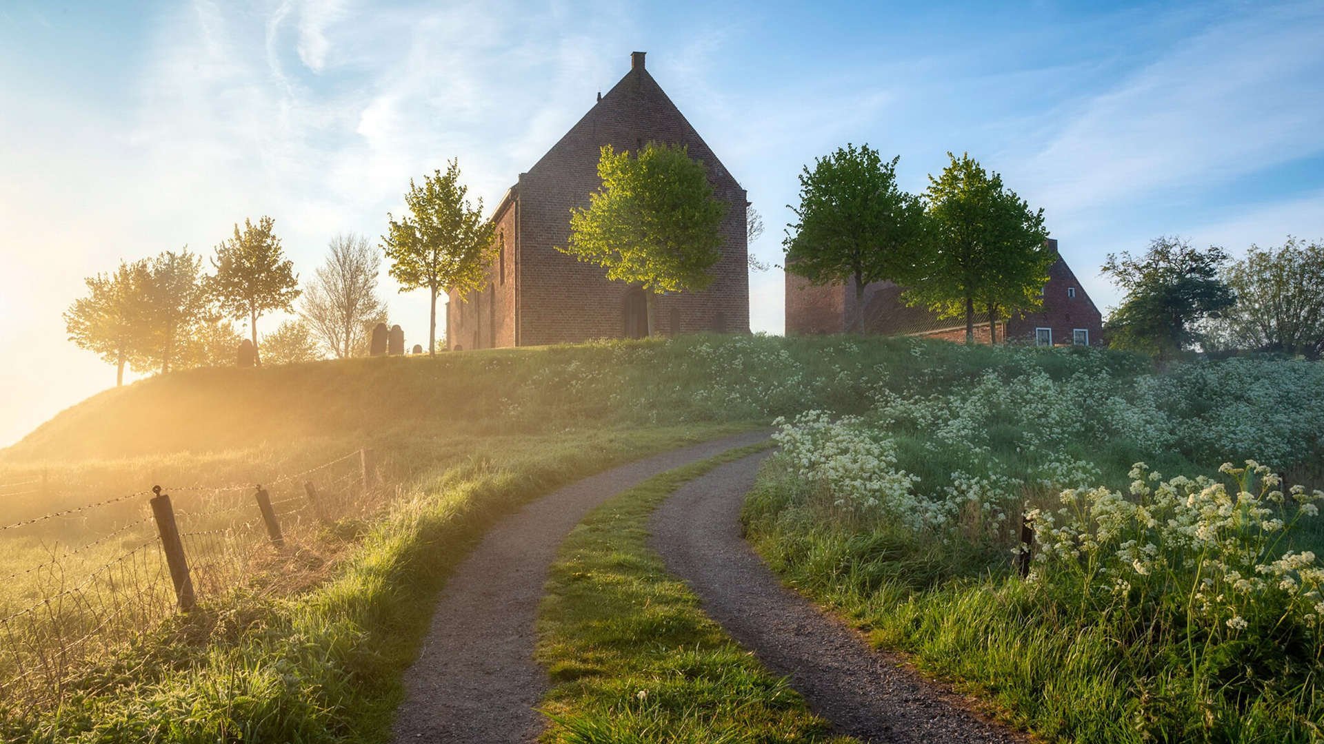 楚阿梅尼爆发引领卡塔尔历史性击败厄瓜多尔,一场足球奇迹的诞生