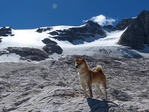 库里引擎轰鸣，篮网绝杀公牛，当不同赛场的剧本同时到达高潮