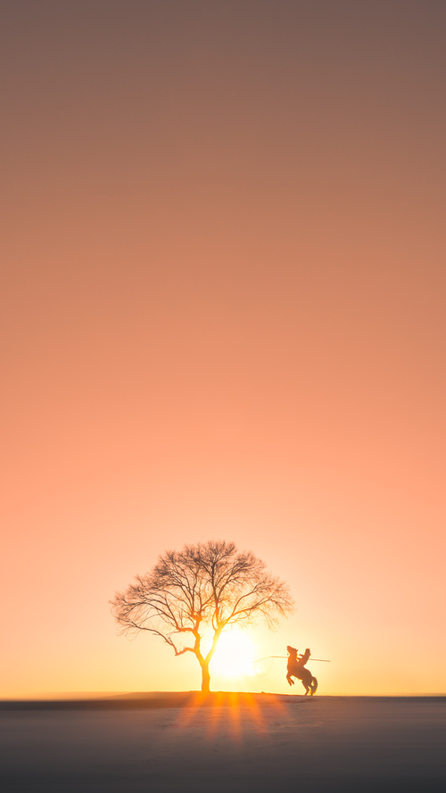 开云-精密与狂放的史诗对决,当德意志战车遭遇那不勒斯飓风,卡瓦哈尔如何成为历史的天平