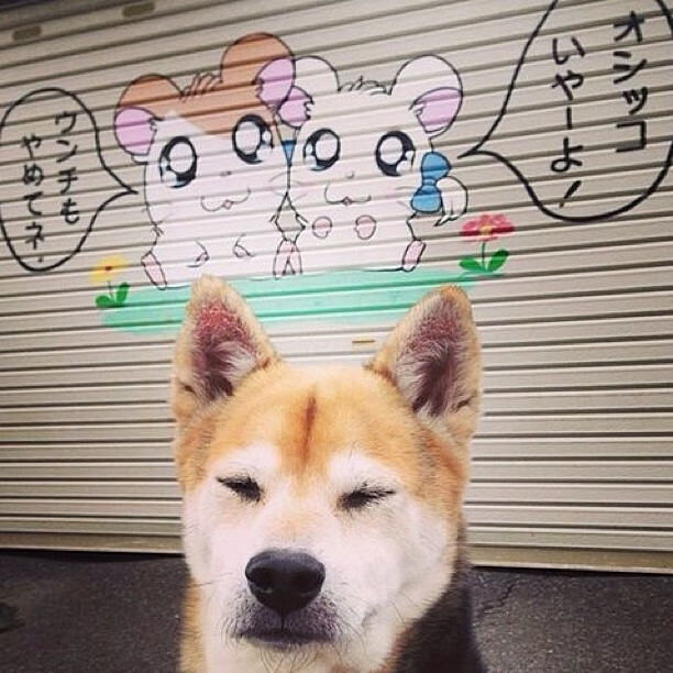 开云下载-字母哥关键时刻如神降临,骑士提前终结悬念令掘金窒息