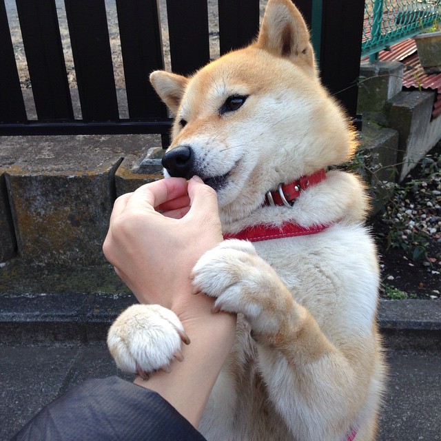 开云APP-班凯罗时刻，2026世界杯之夜，连斩15分终结悬念