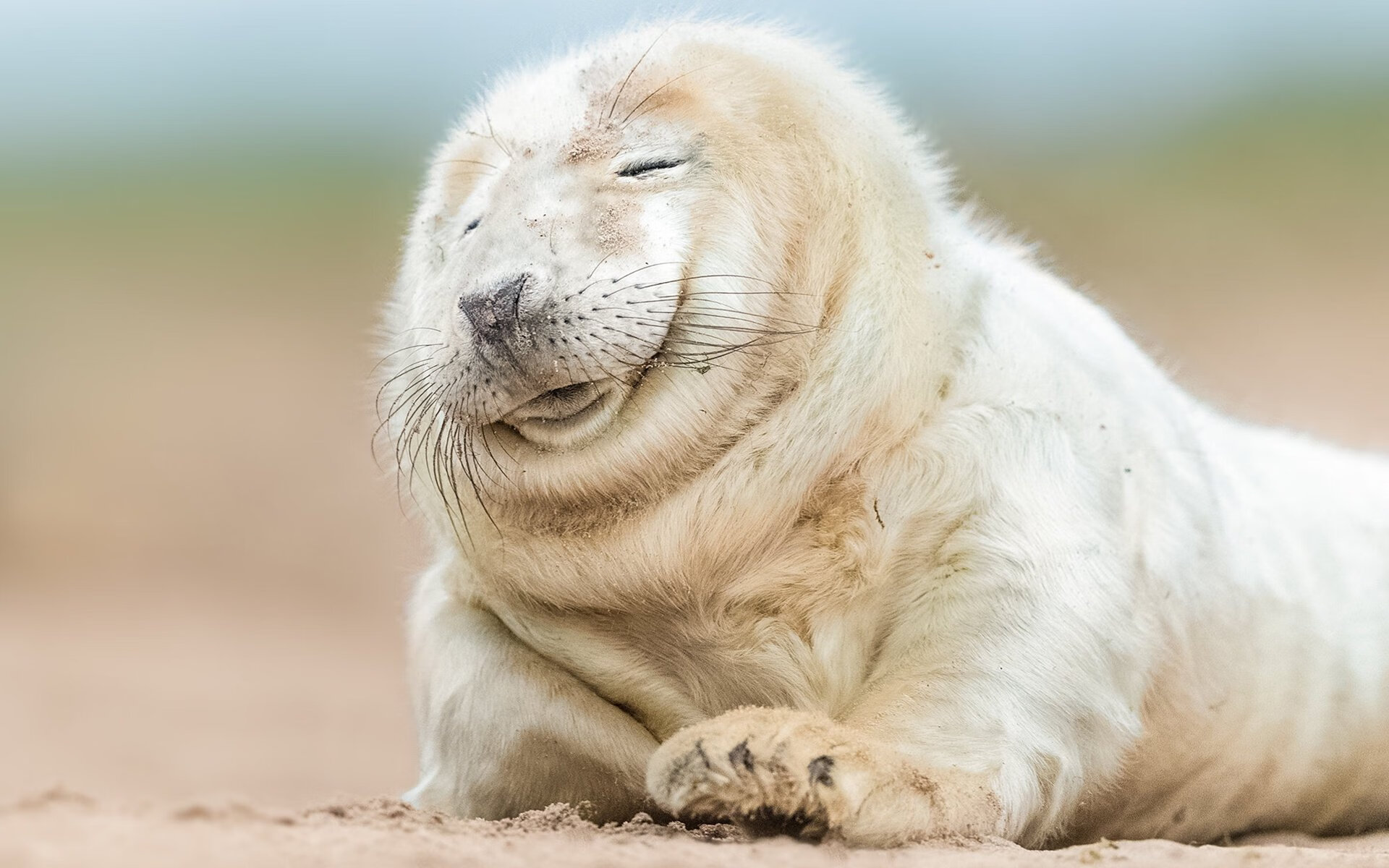 中场指挥官巴雷拉完美控场，阿根廷三球完胜牙买加