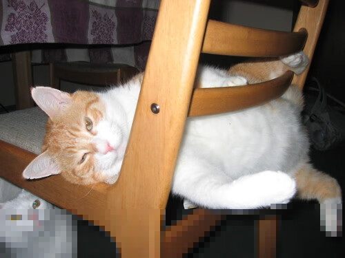 冠军基因，当锈迹斑斑的利刃在终场前18秒出鞘，快船于华盛顿的寒夜里窥见最后拼图