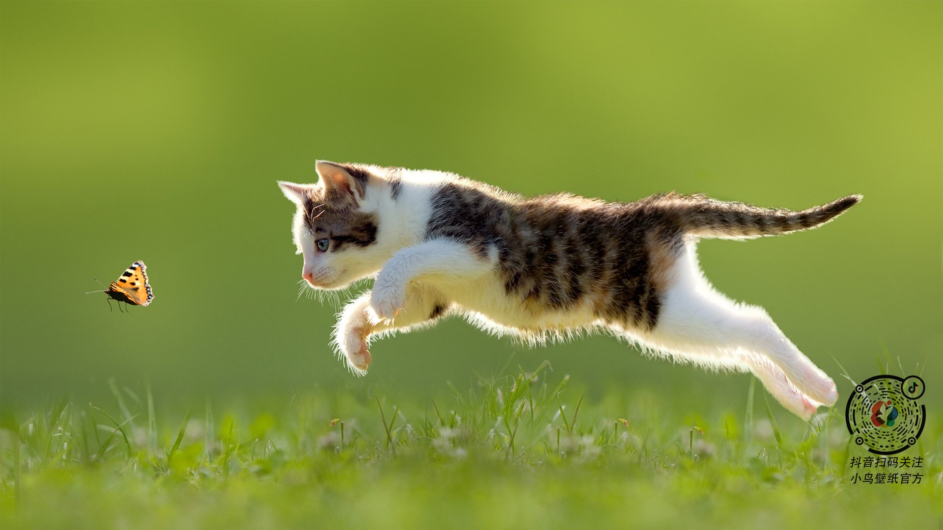 开云体育app-双线战场，爱德华兹无解火力与浙江队高效粉碎战