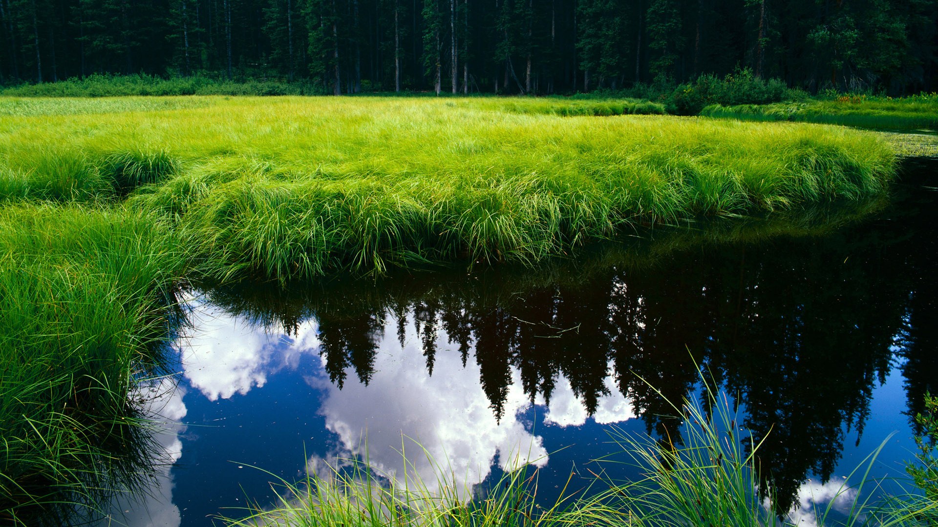 开云下载-绿茵版东决，当波兰的壁垒终结加纳的闪电