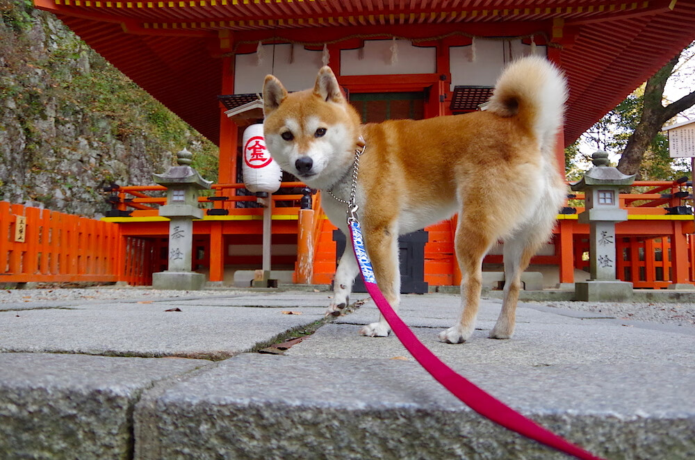 灵魂舞者,38岁保罗用0.9秒死亡变奏扼杀猛龙反击潮