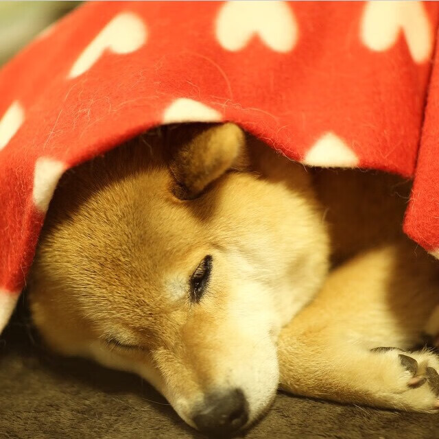 40分钟鏖战，最后2分钟定乾坤！保罗3次关键决策成为老鹰战胜北京队的关键先生