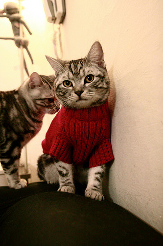 首先，我们来构思一个具有张力和深度的标题